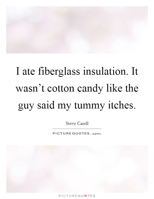 I ate fiberglass insulation. It wasn't cotton candy like the guy said my tummy itches. Picture Quote #1