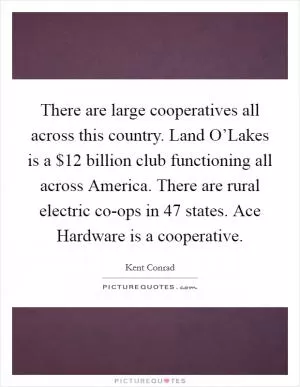 There are large cooperatives all across this country. Land O’Lakes is a $12 billion club functioning all across America. There are rural electric co-ops in 47 states. Ace Hardware is a cooperative Picture Quote #1