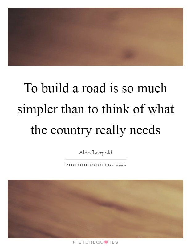 To build a road is so much simpler than to think of what the country really needs Picture Quote #1
