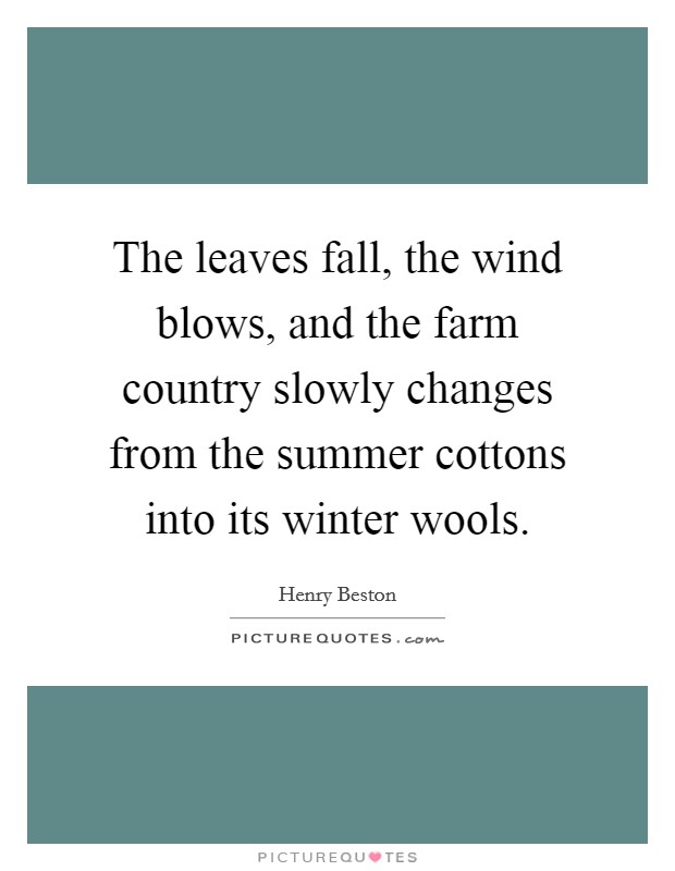 The leaves fall, the wind blows, and the farm country slowly changes from the summer cottons into its winter wools. Picture Quote #1