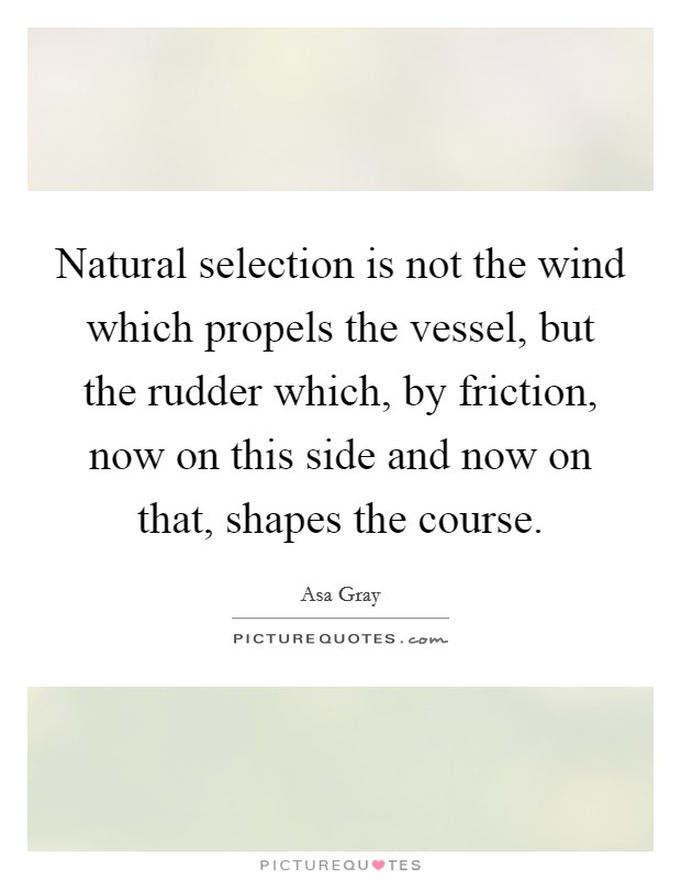 Natural selection is not the wind which propels the vessel, but the rudder which, by friction, now on this side and now on that, shapes the course. Picture Quote #1