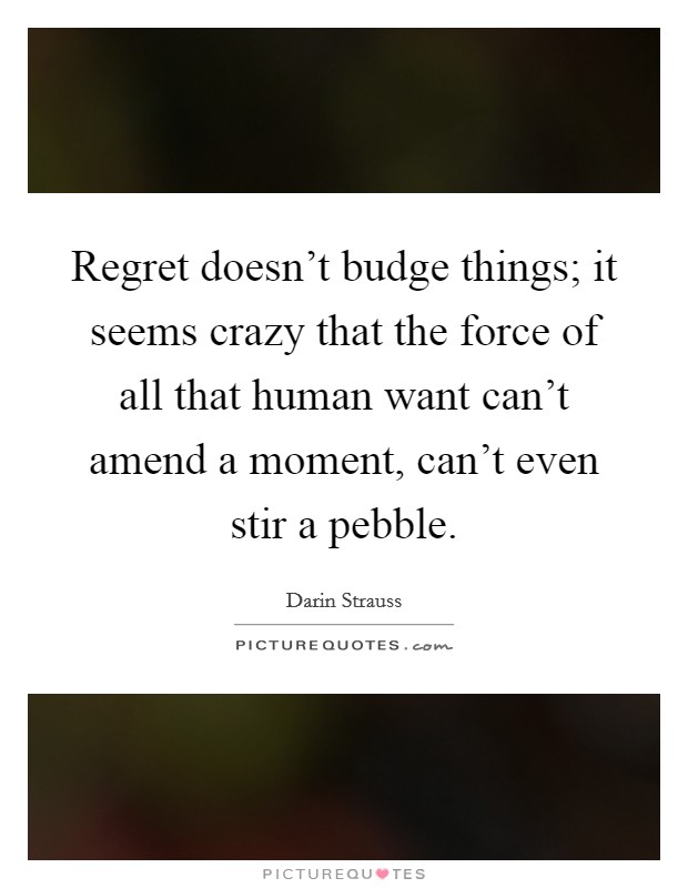 Regret doesn't budge things; it seems crazy that the force of all that human want can't amend a moment, can't even stir a pebble. Picture Quote #1