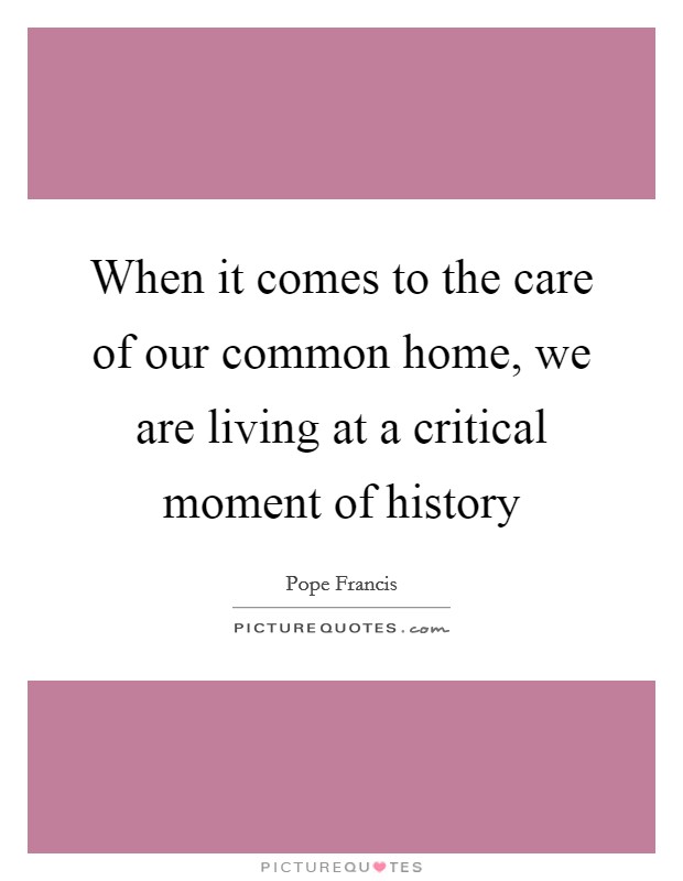 When it comes to the care of our common home, we are living at a critical moment of history Picture Quote #1