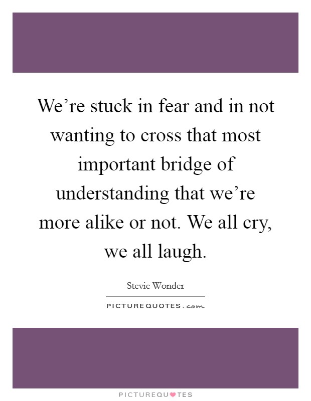 We're stuck in fear and in not wanting to cross that most important bridge of understanding that we're more alike or not. We all cry, we all laugh. Picture Quote #1
