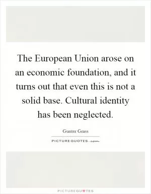 The European Union arose on an economic foundation, and it turns out that even this is not a solid base. Cultural identity has been neglected Picture Quote #1