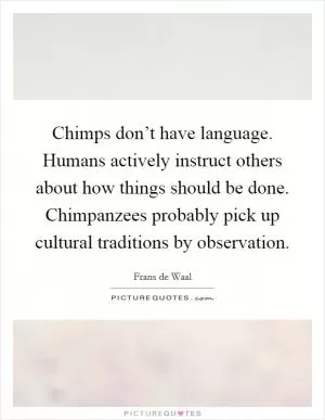 Chimps don’t have language. Humans actively instruct others about how things should be done. Chimpanzees probably pick up cultural traditions by observation Picture Quote #1