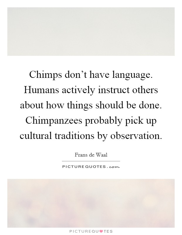 Chimps don't have language. Humans actively instruct others about how things should be done. Chimpanzees probably pick up cultural traditions by observation. Picture Quote #1