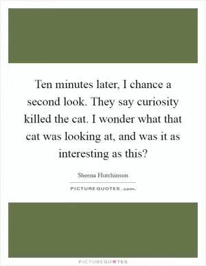 Ten minutes later, I chance a second look. They say curiosity killed the cat. I wonder what that cat was looking at, and was it as interesting as this? Picture Quote #1
