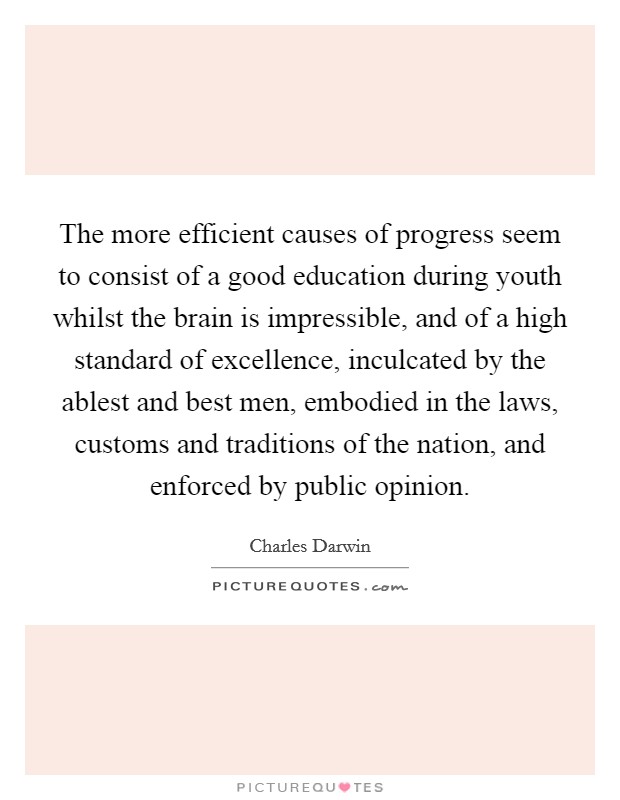 The more efficient causes of progress seem to consist of a good education during youth whilst the brain is impressible, and of a high standard of excellence, inculcated by the ablest and best men, embodied in the laws, customs and traditions of the nation, and enforced by public opinion. Picture Quote #1