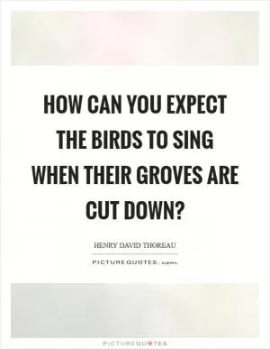 How can you expect the birds to sing when their groves are cut down? Picture Quote #1