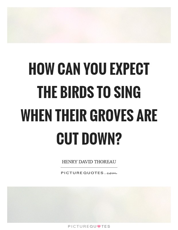 How can you expect the birds to sing when their groves are cut down? Picture Quote #1