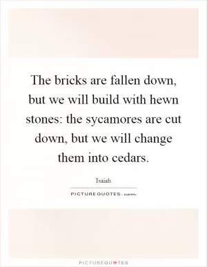 The bricks are fallen down, but we will build with hewn stones: the sycamores are cut down, but we will change them into cedars Picture Quote #1