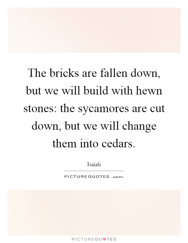 The bricks are fallen down, but we will build with hewn stones: the sycamores are cut down, but we will change them into cedars. Picture Quote #1