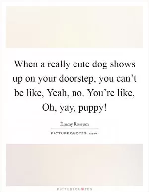 When a really cute dog shows up on your doorstep, you can’t be like, Yeah, no. You’re like, Oh, yay, puppy! Picture Quote #1