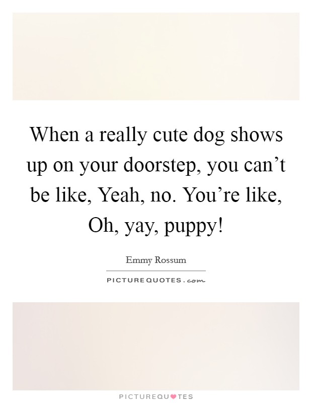 When a really cute dog shows up on your doorstep, you can't be like, Yeah, no. You're like, Oh, yay, puppy! Picture Quote #1