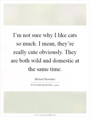 I’m not sure why I like cats so much. I mean, they’re really cute obviously. They are both wild and domestic at the same time Picture Quote #1