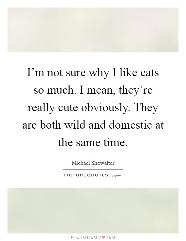 I'm not sure why I like cats so much. I mean, they're really cute obviously. They are both wild and domestic at the same time. Picture Quote #1