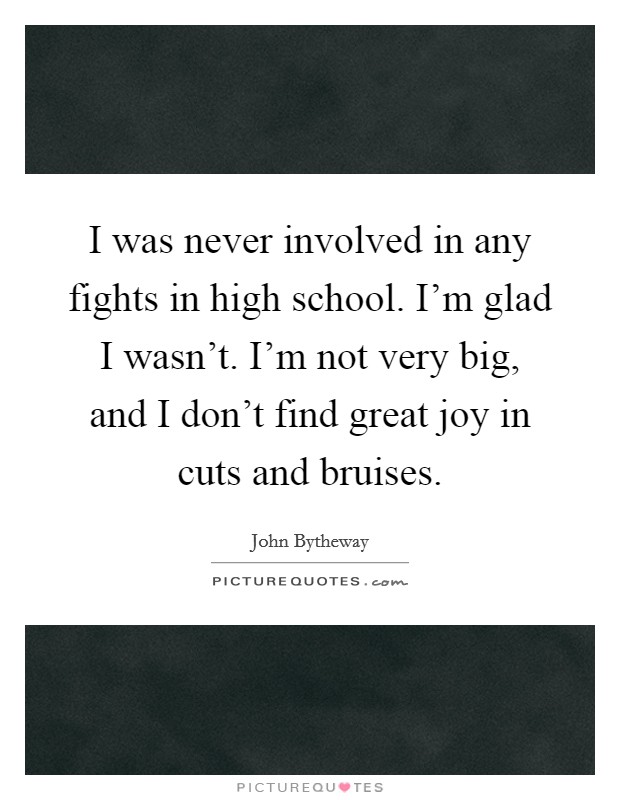 I was never involved in any fights in high school. I'm glad I wasn't. I'm not very big, and I don't find great joy in cuts and bruises. Picture Quote #1