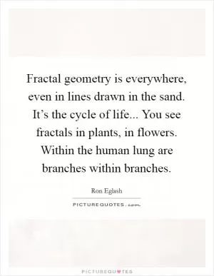 Fractal geometry is everywhere, even in lines drawn in the sand. It’s the cycle of life... You see fractals in plants, in flowers. Within the human lung are branches within branches Picture Quote #1