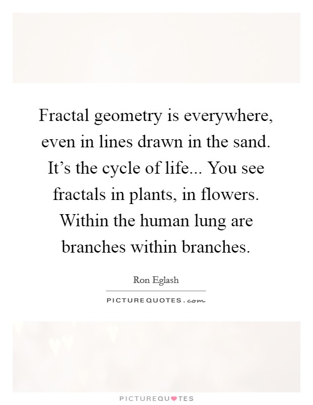 Fractal geometry is everywhere, even in lines drawn in the sand. It's the cycle of life... You see fractals in plants, in flowers. Within the human lung are branches within branches. Picture Quote #1