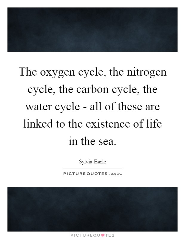 The oxygen cycle, the nitrogen cycle, the carbon cycle, the water cycle - all of these are linked to the existence of life in the sea. Picture Quote #1
