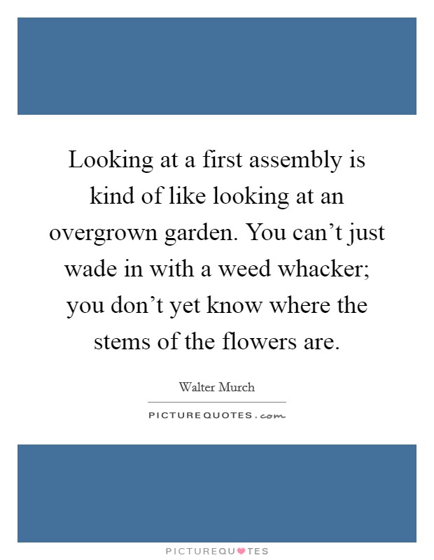 Looking at a first assembly is kind of like looking at an overgrown garden. You can't just wade in with a weed whacker; you don't yet know where the stems of the flowers are. Picture Quote #1