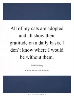 All of my cats are adopted and all show their gratitude on a daily basis. I don’t know where I would be without them Picture Quote #1