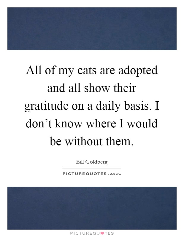 All of my cats are adopted and all show their gratitude on a daily basis. I don't know where I would be without them. Picture Quote #1
