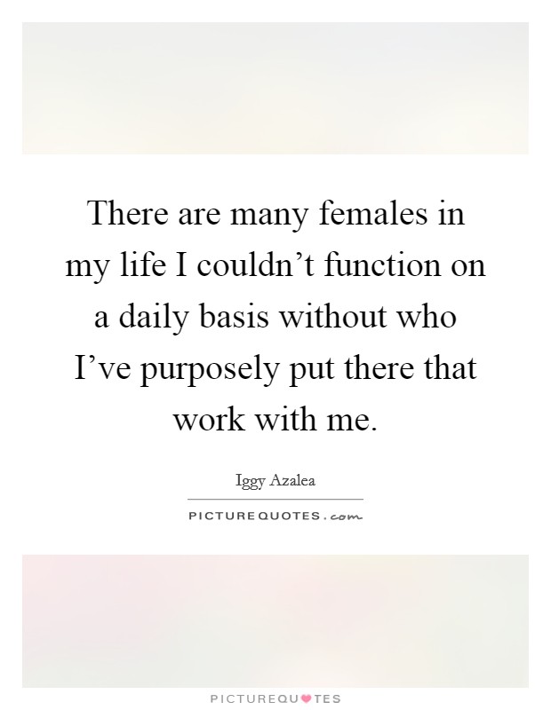 There are many females in my life I couldn't function on a daily basis without who I've purposely put there that work with me. Picture Quote #1