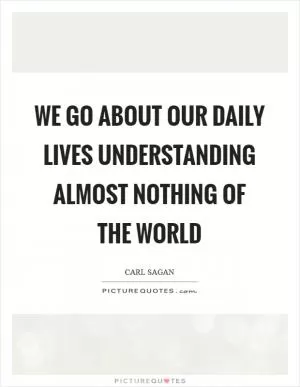 We go about our daily lives understanding almost nothing of the world Picture Quote #1