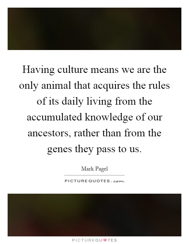 Having culture means we are the only animal that acquires the rules of its daily living from the accumulated knowledge of our ancestors, rather than from the genes they pass to us. Picture Quote #1