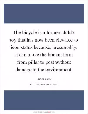 The bicycle is a former child’s toy that has now been elevated to icon status because, presumably, it can move the human form from pillar to post without damage to the environment Picture Quote #1
