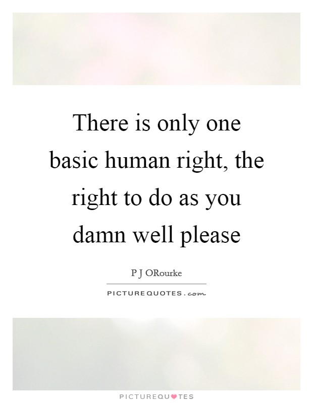 There is only one basic human right, the right to do as you damn well please Picture Quote #1