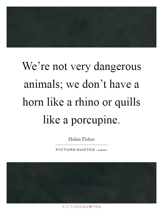 We're not very dangerous animals; we don't have a horn like a rhino or quills like a porcupine. Picture Quote #1