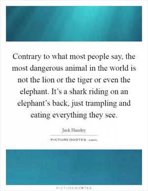Contrary to what most people say, the most dangerous animal in the world is not the lion or the tiger or even the elephant. It’s a shark riding on an elephant’s back, just trampling and eating everything they see Picture Quote #1