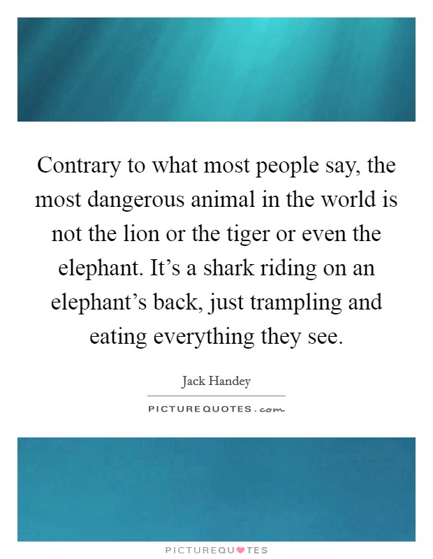Contrary to what most people say, the most dangerous animal in the world is not the lion or the tiger or even the elephant. It's a shark riding on an elephant's back, just trampling and eating everything they see. Picture Quote #1