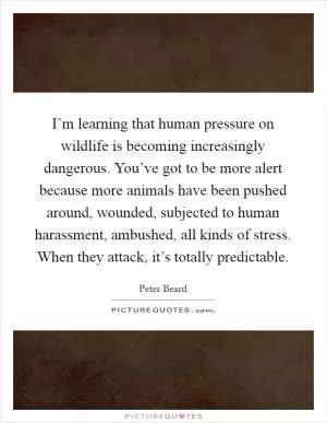 I’m learning that human pressure on wildlife is becoming increasingly dangerous. You’ve got to be more alert because more animals have been pushed around, wounded, subjected to human harassment, ambushed, all kinds of stress. When they attack, it’s totally predictable Picture Quote #1