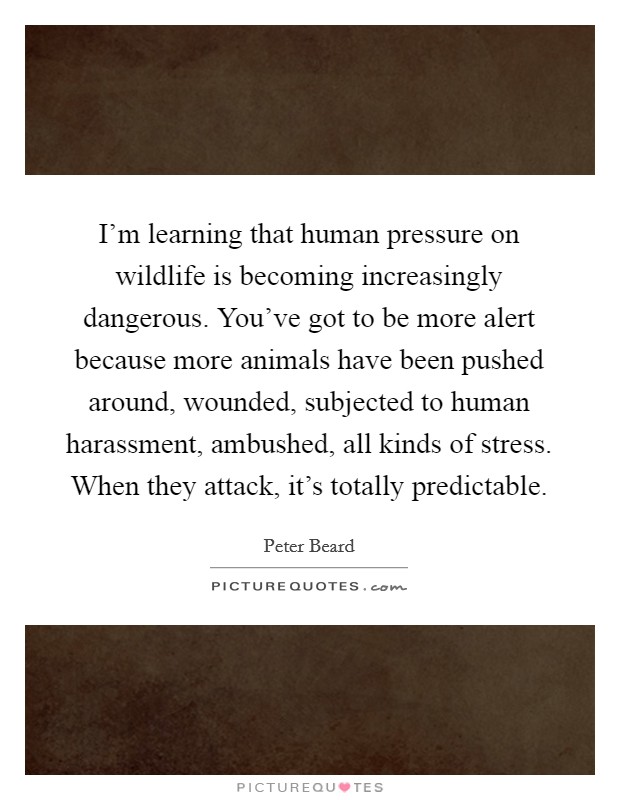 I'm learning that human pressure on wildlife is becoming increasingly dangerous. You've got to be more alert because more animals have been pushed around, wounded, subjected to human harassment, ambushed, all kinds of stress. When they attack, it's totally predictable. Picture Quote #1
