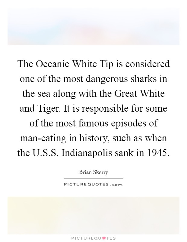 The Oceanic White Tip is considered one of the most dangerous sharks in the sea along with the Great White and Tiger. It is responsible for some of the most famous episodes of man-eating in history, such as when the U.S.S. Indianapolis sank in 1945. Picture Quote #1