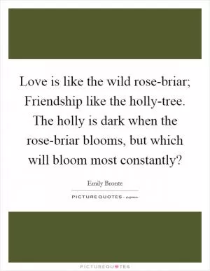 Love is like the wild rose-briar; Friendship like the holly-tree. The holly is dark when the rose-briar blooms, but which will bloom most constantly? Picture Quote #1