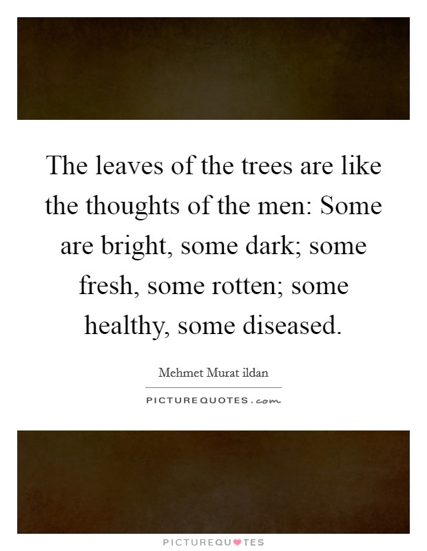 The leaves of the trees are like the thoughts of the men: Some are bright, some dark; some fresh, some rotten; some healthy, some diseased. Picture Quote #1