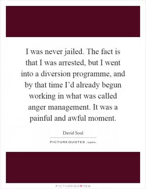 I was never jailed. The fact is that I was arrested, but I went into a diversion programme, and by that time I’d already begun working in what was called anger management. It was a painful and awful moment Picture Quote #1