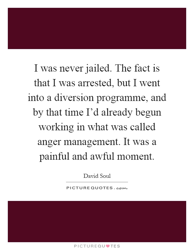 I was never jailed. The fact is that I was arrested, but I went into a diversion programme, and by that time I'd already begun working in what was called anger management. It was a painful and awful moment Picture Quote #1