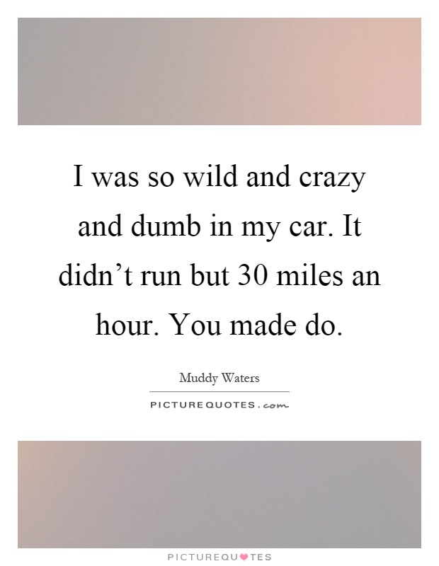 I was so wild and crazy and dumb in my car. It didn't run but 30 miles an hour. You made do Picture Quote #1