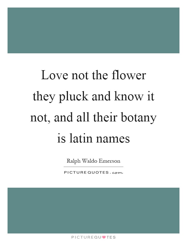 Love not the flower they pluck and know it not, and all their botany is latin names Picture Quote #1