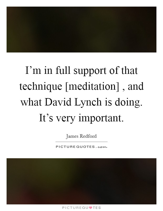 I'm in full support of that technique [meditation] , and what David Lynch is doing. It's very important. Picture Quote #1