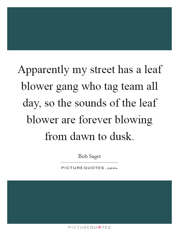 Apparently my street has a leaf blower gang who tag team all day, so the sounds of the leaf blower are forever blowing from dawn to dusk. Picture Quote #1