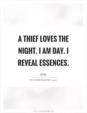 A thief loves the night. I am day. I reveal essences Picture Quote #1