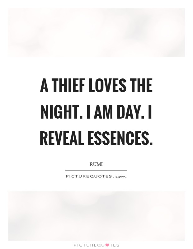 A thief loves the night. I am day. I reveal essences. Picture Quote #1