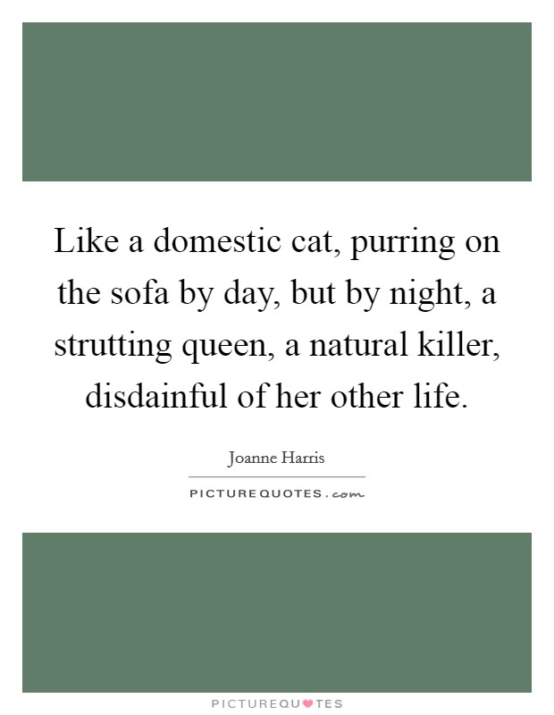 Like a domestic cat, purring on the sofa by day, but by night, a strutting queen, a natural killer, disdainful of her other life. Picture Quote #1